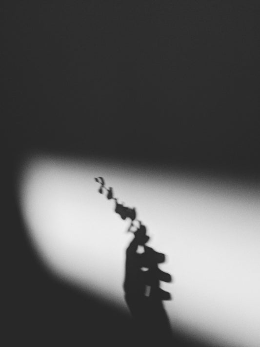 Why Reflection and Curiosity are the Keys to Balance and Fulfillment